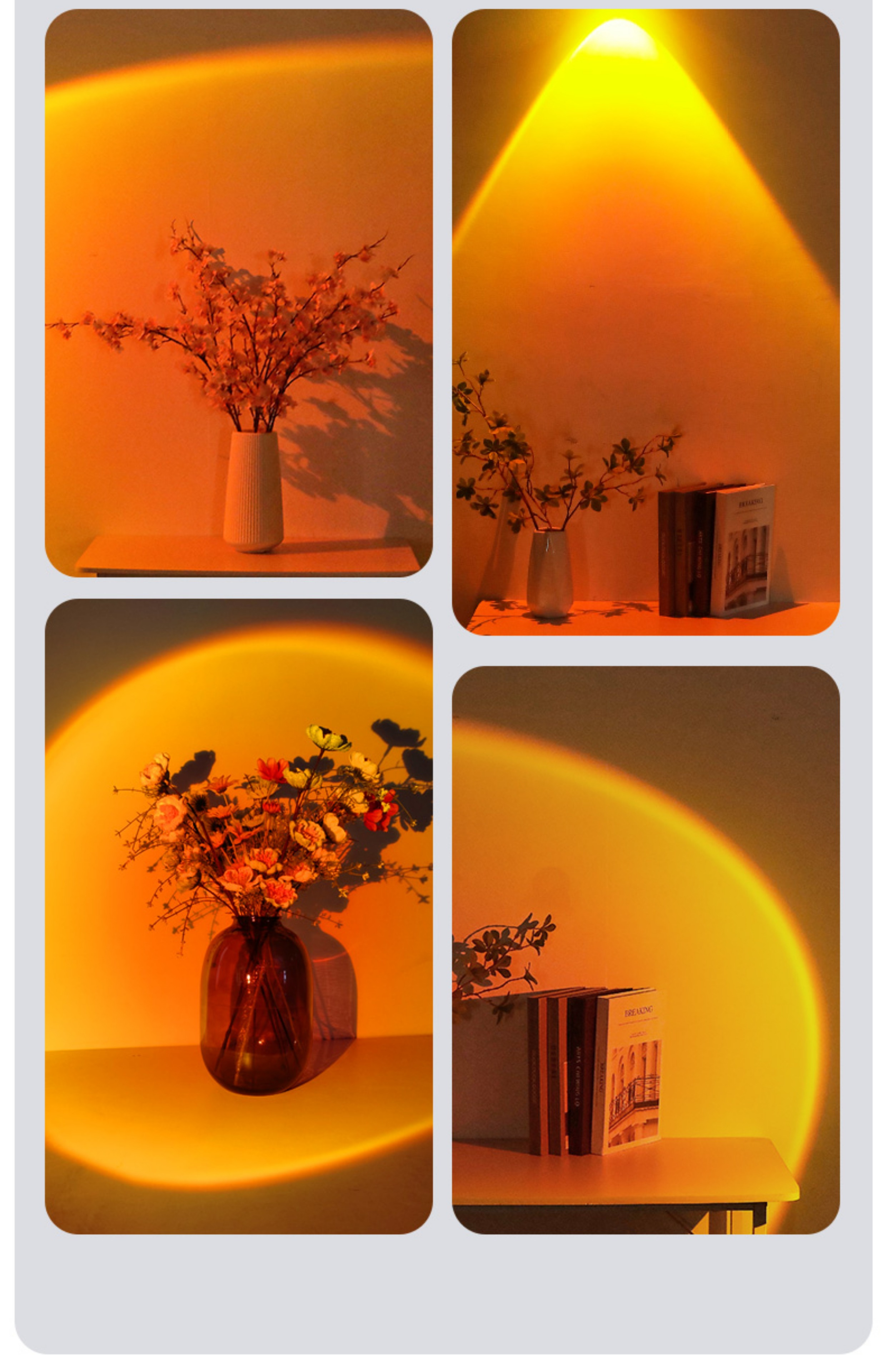 1733269995393750.png 1338da75aab553320d09d03bdcfb548.png