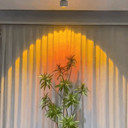 1733270416946244.gif 173314216988382775.gif