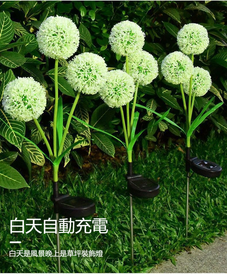 1733400026423585.jpg b7b669e4aad0a5d983042e375356e546.jpg