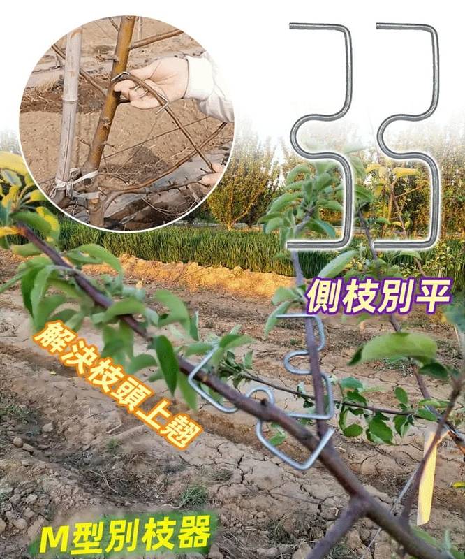 1733402470819496.jpg fb311bbe493045628936ab7ac903a596.jpg